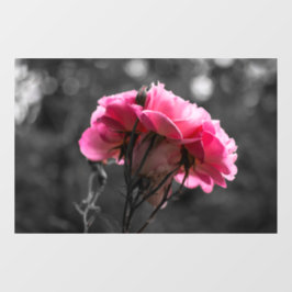 Vinilos Para Cristales Adhesivo para Ventana - Elegancia de Rosa Rosa