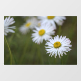 Vinilos Para Cristales Adhesivo para ventana - Fotografía de flores de ma