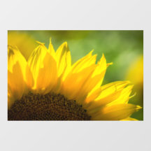 Adhesivo para ventana - Fotografía de girasol