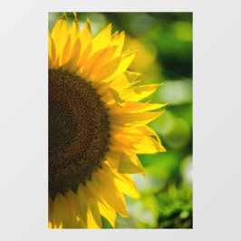 Vinilos Para Cristales Adhesivo para ventana - Fotografía de girasol en e