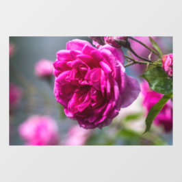 Vinilos Para Cristales Adhesivo para Ventana - Fotografía de Rosa Rosa