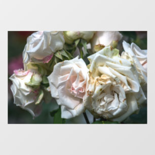 Vinilos Para Cristales Adhesivo para Ventana - Fotografía de Rosas Blanca