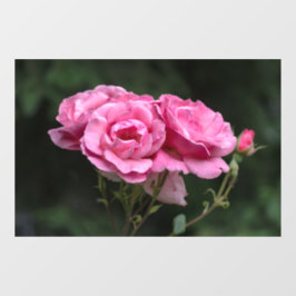 Vinilos Para Cristales Adhesivo para Ventana - Fotografía de Rosas Rosada