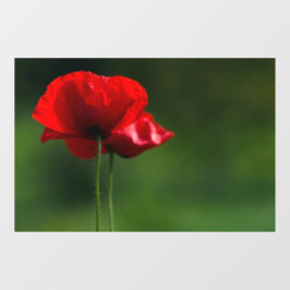 Vinilos Para Cristales Adhesivo para Ventana - Fotografía Floral de Amapo