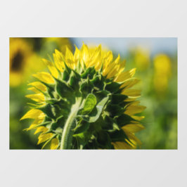 Vinilos Para Cristales Adhesivo para ventana - Girasol Perspectiva Invers