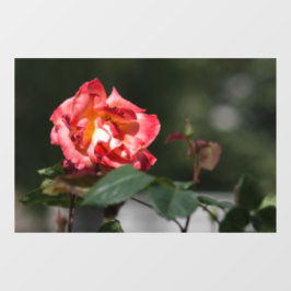 Vinilos Para Cristales Adhesivo para Ventana - La Rosa Marchita