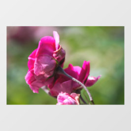 Vinilos Para Cristales Adhesivo para ventana - Rosa - Gracia Magenta
