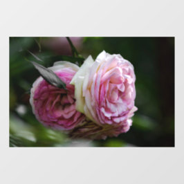 Vinilos Para Cristales Adhesivo para Ventana - Rosas Rosadas - Dueto Sonr