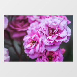 Vinilos Para Cristales Adhesivo para Ventana - Rosas Suaves Rosadas
