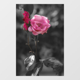 Vinilos Para Cristales Adhesivo para Ventana - Tonos de Rosas de Devoción