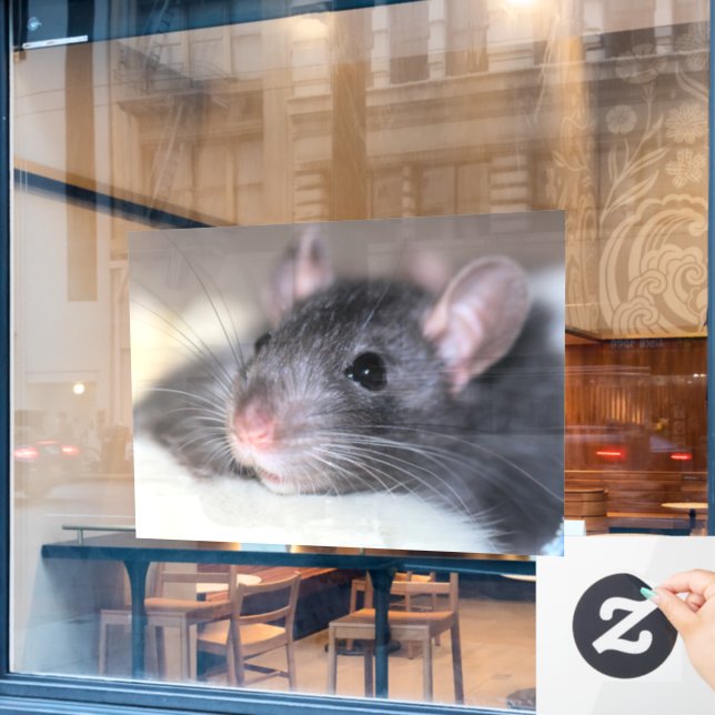 Vinilos Para Cristales Adorable (Ventana de cafetería)