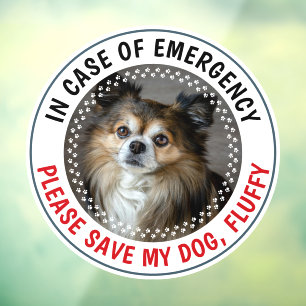 Vinilos Para Cristales Alerta de emergencia para mascotas Foto personaliz