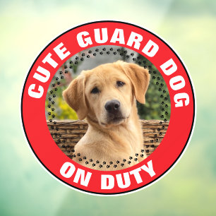 Vinilos Para Cristales Alerta de perro guardián de servicio Foto de masco