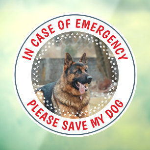 Vinilos Para Cristales Alerta de Seguridad para Mascotas Foto Personaliza
