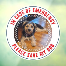 Alerta de Seguridad para Mascotas Foto Personaliza