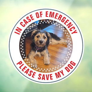 Vinilos Para Cristales Alerta de Seguridad para Mascotas Foto Personaliza