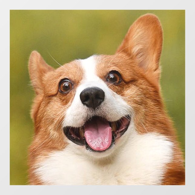 Vinilos Para Cristales Añadir foto de perro personalizada (Hoja)