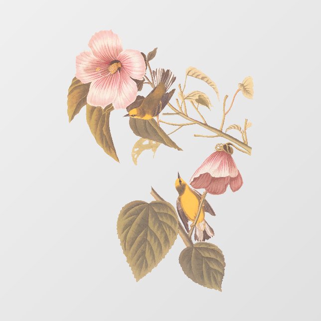 Vinilos Para Cristales Audubon Blue Winged Yellow Warbler Bird Glass Orna (Hoja)