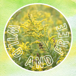 Vinilos Para Cristales Autoconfianza en las flores silvestres silvestres 