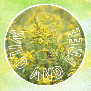 Vinilos Para Cristales Autoconfianza en las flores silvestres silvestres 