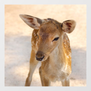 Vinilos Para Cristales Baby Deer