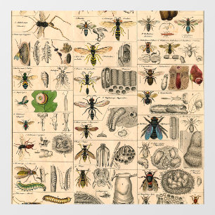Vinilos Para Cristales Bee Insect Bug Wasp Naturaleza Abejas Pintura