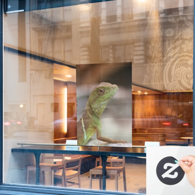 Vinilos Para Cristales Beso de Iguana (Ventana de cafetería)