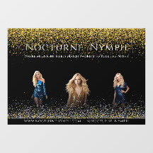 Black Glitter Models Dresses Boutique Decor