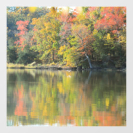 Vinilos Para Cristales Caer Shimmer