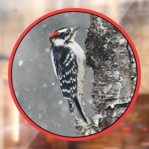 Vinilos Para Cristales Carpintero lechoso en nieve - Fotografía original