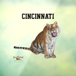 Vinilos Para Cristales Cincinnati Window Cling