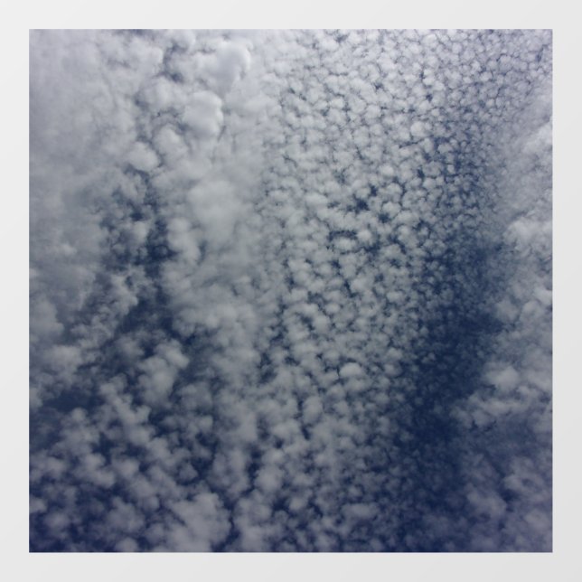 VINILOS PARA CRISTALES CLASIFICACIÓN DE VENTANA DECAL (Hoja)