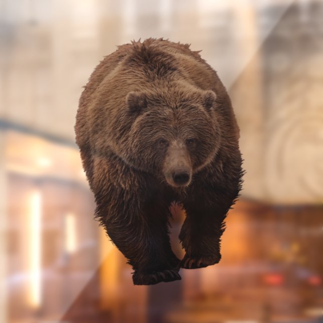 VINILOS PARA CRISTALES CLIC DE VENTANA DE OSO GRIZADO (Hoja 2)