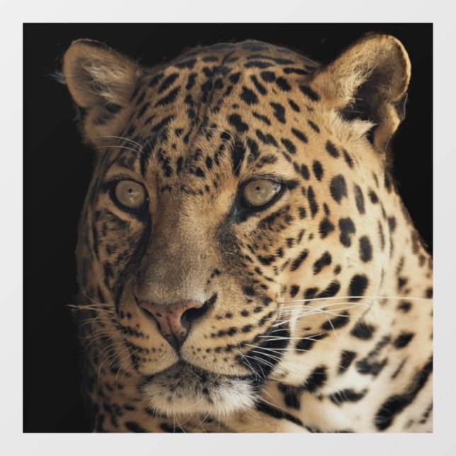 VINILOS PARA CRISTALES CLIC DE VENTANA DE VIDRIO LEOPARDE (Hoja)