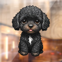 Cockapoo negro