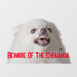 Vinilos Para Cristales Cuidado Con El Chihuahua - Personalizable