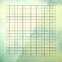 Decal de revestimiento de Personalizable transpare