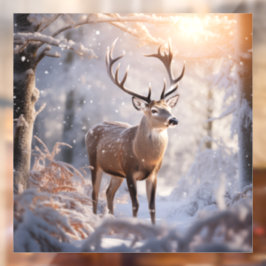 Vinilos Para Cristales Deer