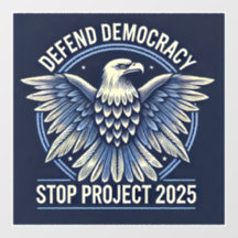 Detener el proyecto 2025