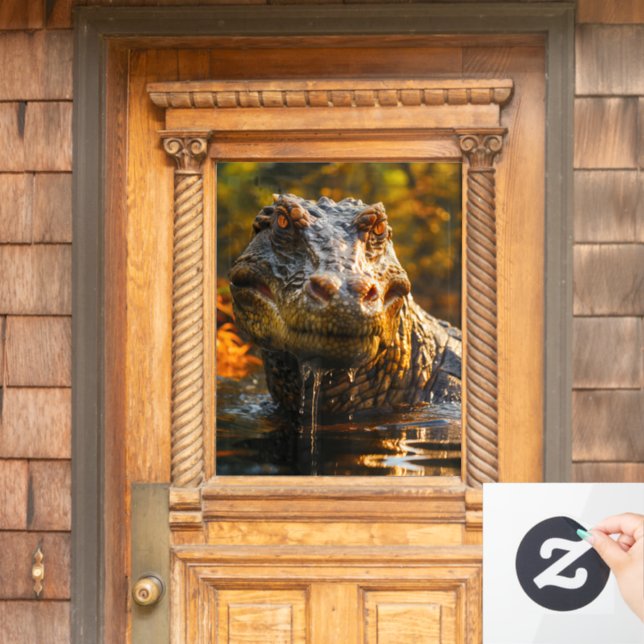 Vinilos Para Cristales Dinosaurio (Puerta de casa)