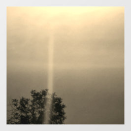 Vinilos Para Cristales diseño de estilo ecológico fresco de wall decal pe