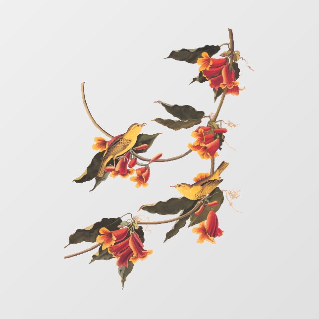 Vinilos Para Cristales El pájaro de la canción de Rathbone en Crossvine (Hoja)