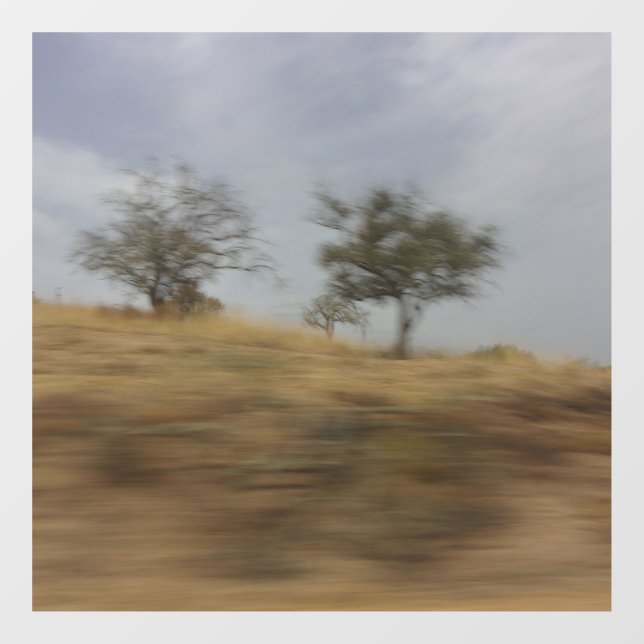 VINILOS PARA CRISTALES ESTILO DE DISEÑO DE PARED DECAL (Hoja)