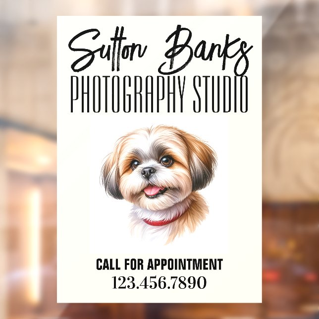 Vinilos Para Cristales Estudio de fotografía (Hoja 2)