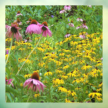 Flores Amarillas y Purpura en el Jardín