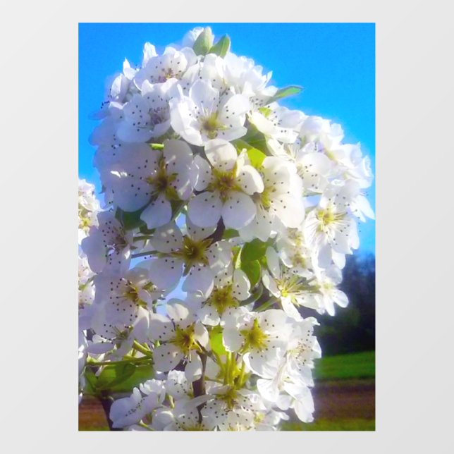 Vinilos Para Cristales Flores de oído (Hoja)