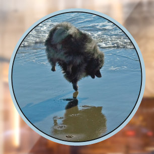Vinilos Para Cristales Fotografía de Ballet Keeshond - Arte Original de P