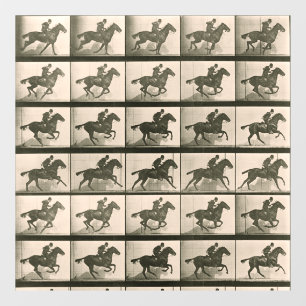 Vinilos Para Cristales Fotografía de cosecha de caballos en movimiento
