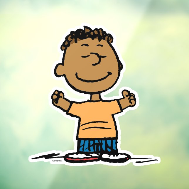 Vinilos Para Cristales Franklin Arms Wide (Hoja 3)