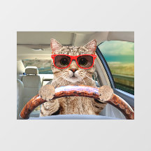Gato Divertido Conduciendo Coche Sombra 11" x 8" P